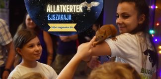 Állatkertek Éjszakája a Budakeszi Vadasparkban