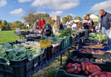 Szombaton ismét Schaumarkt