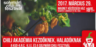 Solymári fiatalok a MagNet Házban