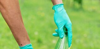 Jegenye-völgy és Káposztás-patak tisztítás Solymáron