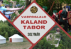 Várfoglaló kalandtábor várja a gyerekeket a solymári várnál