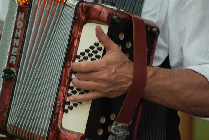 harmonika_stock