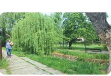 Mi minden lehetne a patakparton?