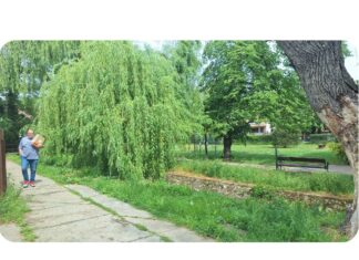 Mi minden lehetne a patakparton?