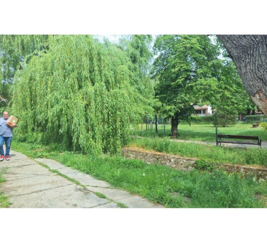 Mi minden lehetne a patakparton?
