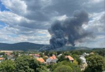 Tűzeset Solymár határában – nagy erőkkel dolgoznak a tűzoltók