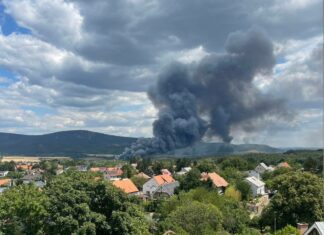 Tűzeset Solymár határában – nagy erőkkel dolgoznak a tűzoltók