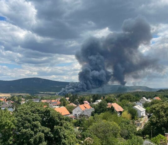 Tűzeset Solymár határában – nagy erőkkel dolgoznak a tűzoltók