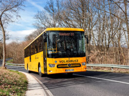 Augusztus 1-jétől új éjszakai buszjáratok indulnak Solymárról