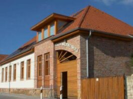Gazdasági vezetőt keres a Solymári Fészek Waldorf Iskola