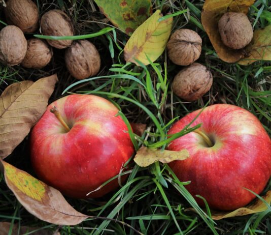 Szeptember végéig lehet pályázni klímabarát, „ehető” kertekkel
