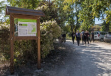 Mostantól új táblák igazítják útba a turistákat a Jegenye-völgyben