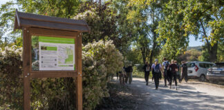 Mostantól új táblák igazítják útba a turistákat a Jegenye-völgyben