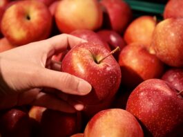 Gyerekfoglalkozással, nápolyi pizzával, kávéval és termelői finomságokkal vár a szombati Schaumarkt