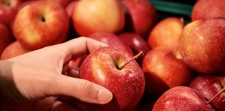 Gyerekfoglalkozással, nápolyi pizzával, kávéval és termelői finomságokkal vár a szombati Schaumarkt