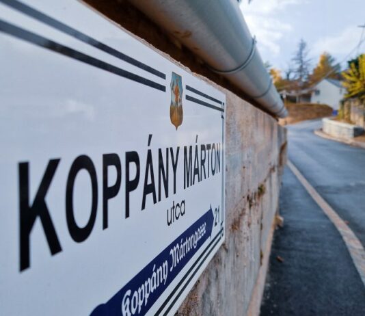 Miért nem használhatják szabadon a solymáriak a Koppány Márton utcát?