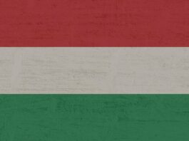 Az 1956-os forradalom 70. évfordulójára emlékeznek Solymáron