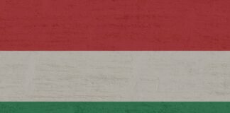 Az 1956-os forradalom 70. évfordulójára emlékeznek Solymáron