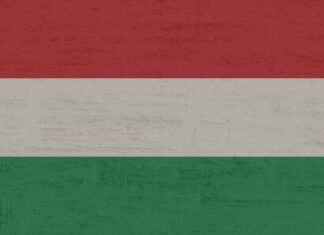 Az 1956-os forradalom 70. évfordulójára emlékeznek Solymáron
